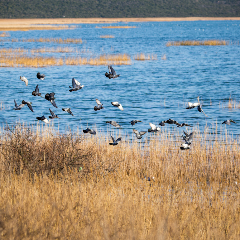 PP Vransko jezero PP Vransko jezero