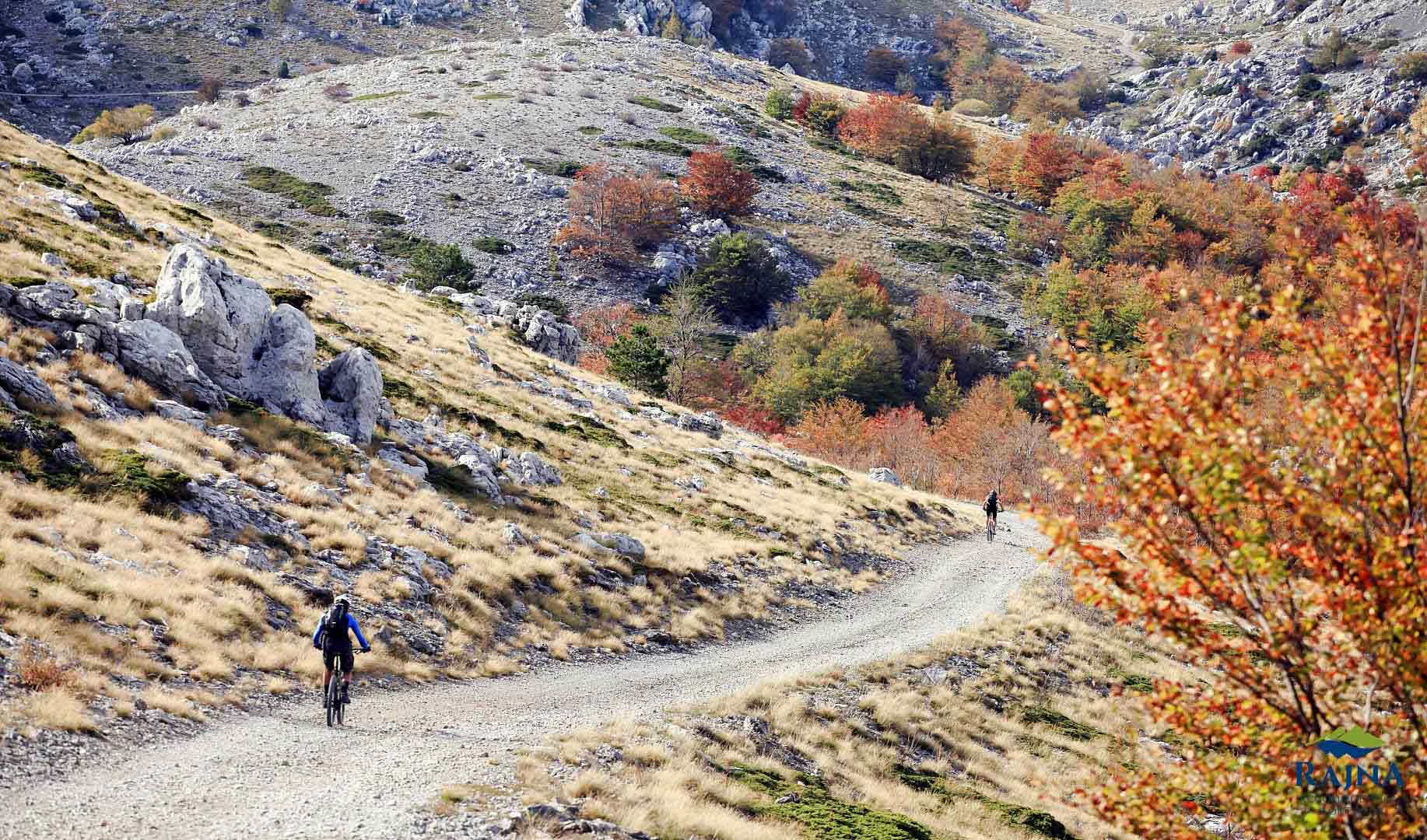 hiking