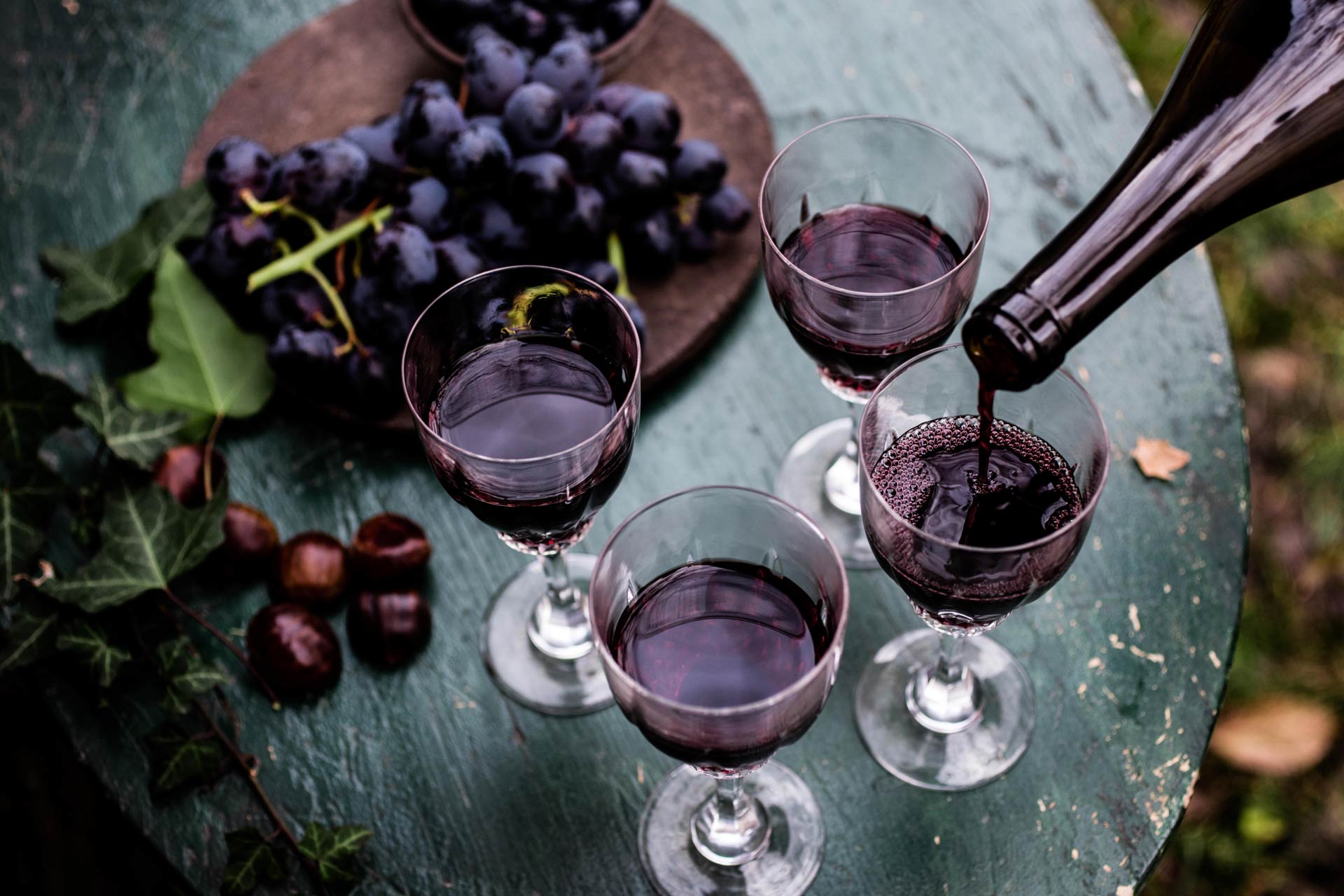 DEGUSTATION DE VIN ET D’OLIVES ISSUS DE L’AGRICULTURE BIOLOQUE DE LA REGION DE ZADAR