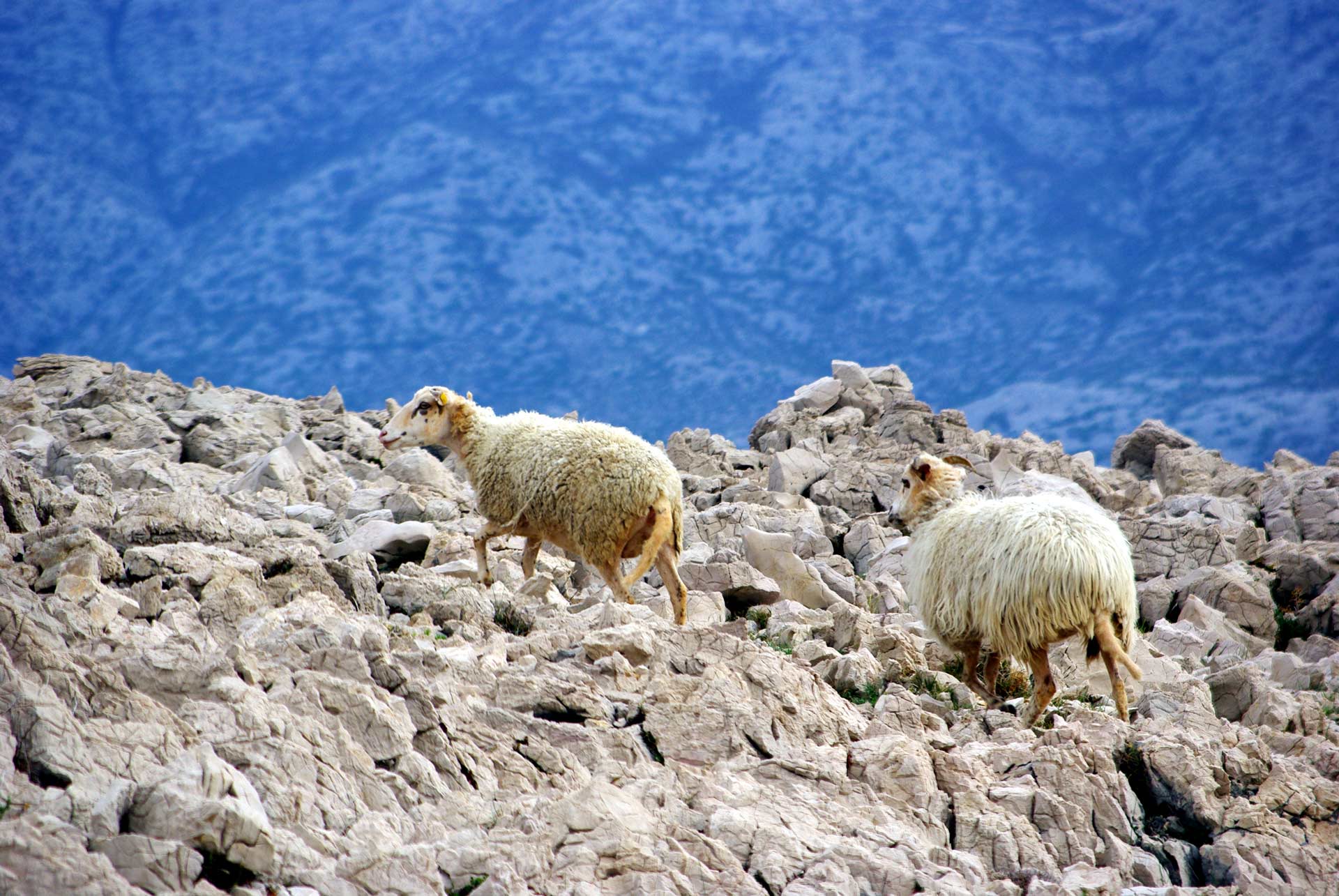 LE MIGLIORI GITE ENOGASTRONOMICHE DELL’ISOLA 