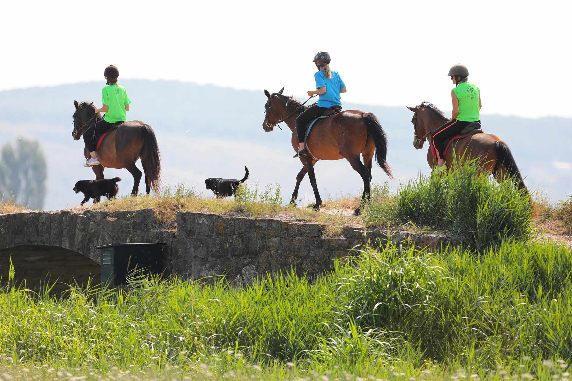 FAMILIENSPASS IM NATURPARK 