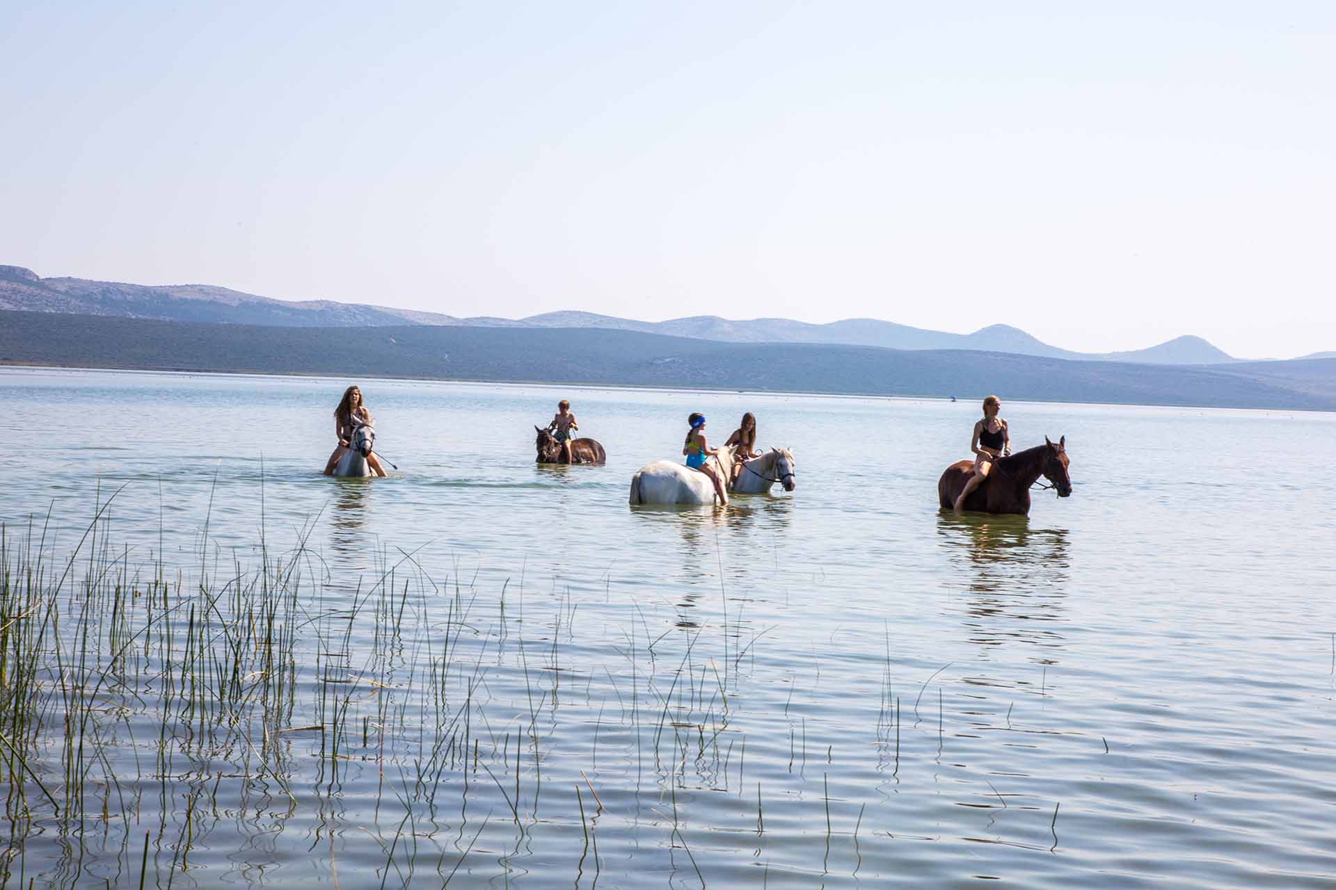 horseback riding